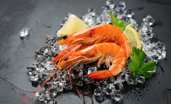 Shrimps. Fresh prawns on a black background. Seafood on crashed ice with herbs. Healthy food, cooking