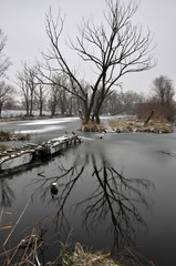 Winter landscape on frozen lake