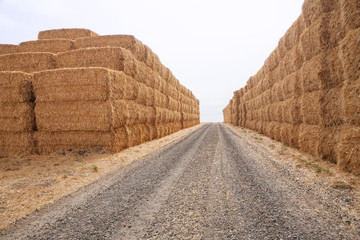Hay bales stacked high