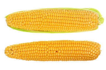 ear of corn isolated on a white background. Top view