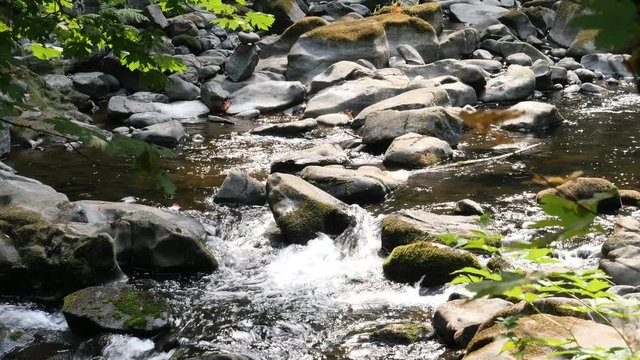 Small Water Falls with sound