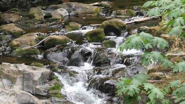 Creek with softly falling water with sound