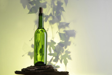 Botella de vino con vid de fondo 