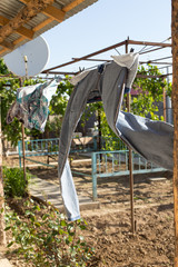 Fototapeta premium clean clothes, after washing on a rope