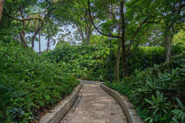 Fort Canning Park walking path between vegetation