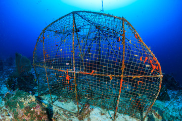 An abandoned, rusting fish trap left on the seabed of a tropical coral reef