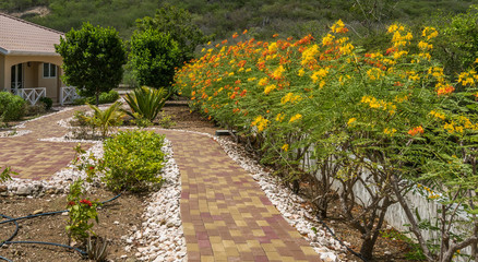    Views around Curacao a Caribbean Island