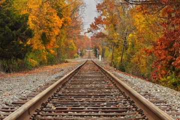 train tracks during autumn