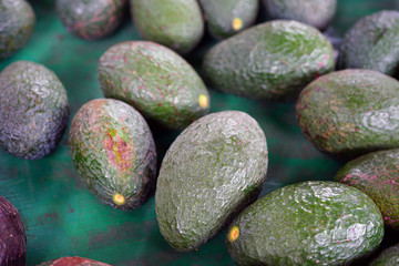 Green avocados at a road stand in Hawaii