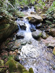 creek flowing over the rocks