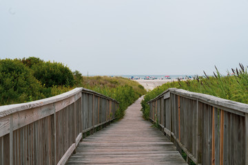 Wooden Beach Walkway with Plants Surrounding at Wildwood New Jersey Vacation Destination.