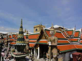 Thao024