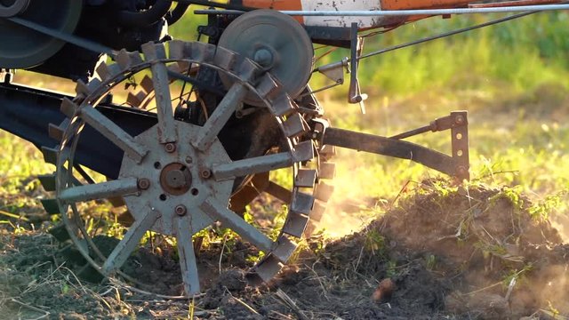Man works in the garden with motorized unit motoblock - type of small-sized tractor, used in the household. Cultivation of land, digging potatoes, harvesting in autumn, plowing soil