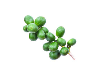 Green coffee beans isolated on white