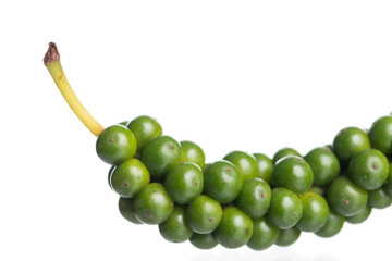 Fresh black pepper on white background