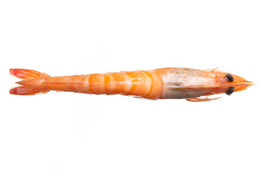 Shrimps. Prawns  on a White Background. Seafood