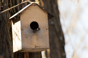 Wooden birdhouse hanging on a tree