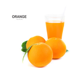 Orange fruit with orange leaves.