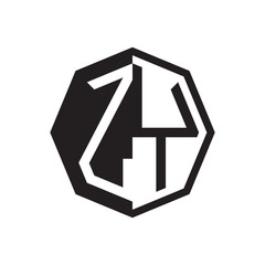 two letter zy octagon negative space logo