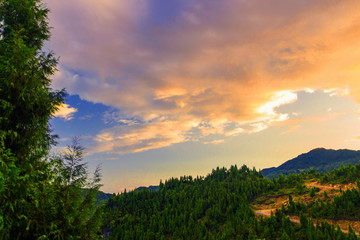 Big mountain forest and sunset