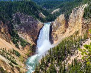 Yellowstone Lower Falls