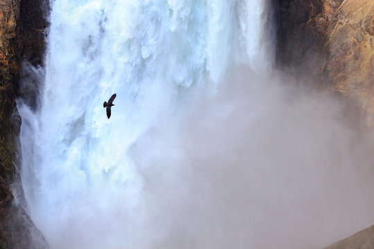 Yellowstone Lower Falls