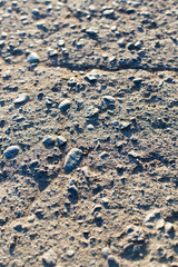 macro background of asphalt at sunset
