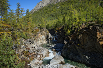 Obraz premium Canyon on the river Middle Sakukan in Eastern Siberia