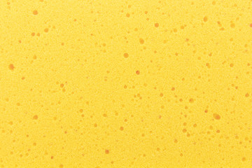 yellow sponge texture background - obrazy, fototapety, plakaty