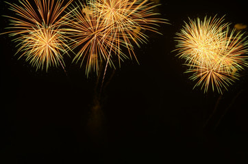 Colorful fireworks celebration and the night sky background.