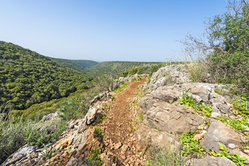 Fototapeta na wymiar The nature of the western Galilee
