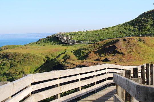 Phillip Island Penguin Parade, Nobbies Boardwalk, Australia