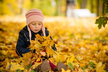 Sitting young girl playfully thrown away over his head colored maple leaves. Cute child having fun in autumn park. I love autumn. Colorful fall season concept. Hello autumn. Happy childhood.