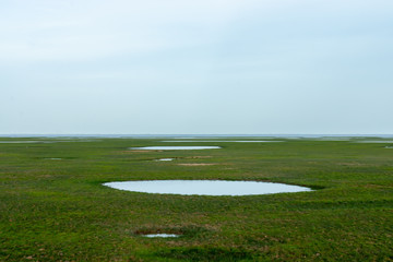 Drought of Lake Wetlands