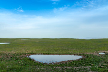 Drought of Lake Wetlands