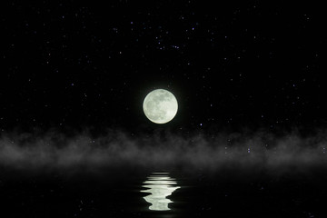 The full moon in the dark night.