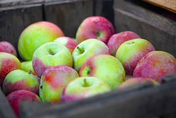 Fresh Green & Red Apples in Wooden Box
