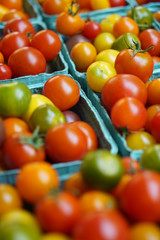 Multicolored Rainbow Cherry Tomatoes in Cartons at Farmer's Market