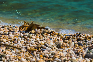 Waves of the blue sea crashing onto a pebble beach in Maronia, Rodopi, Greece