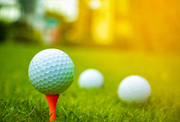 Golf ball on the Course. Golf ball on Orange tee. They are prepare to shot. Photo for health and game. 