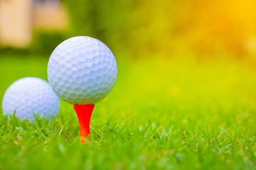 Golf ball on the Course. Golf ball on Orange tee. They are prepare to shot. Photo for health and game. 