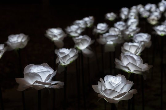 Handmade Flower with LED light at night. Artificial flower made of cloth