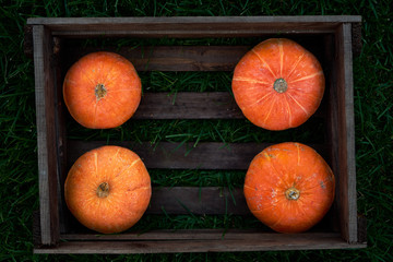  Small orange pumpkins stacked in wood crate