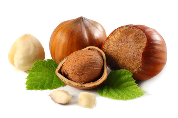 hazelnuts with leaves isolated on white background. macro