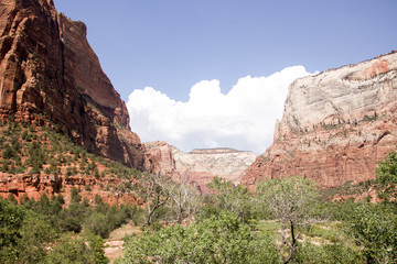 zion national park