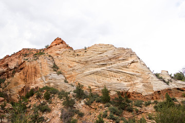 Fototapeta premium zion national park