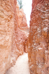 bryce canyon