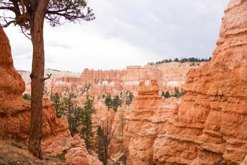 bryce canyon