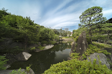 Central pond of Mejiro Garden which is surrounded by large flat stones on which ducks rest under the foliage of the momiji maple trees and pines.