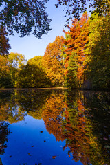 Wonderful Landscape. Colorful Autumn scene
